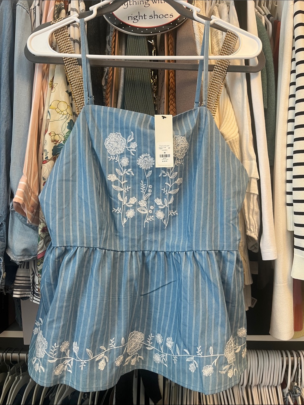 Francesca‘s -Striped Blue Floral Embroidered Peplum Cami